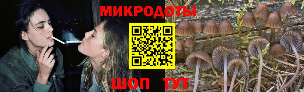 Псилоцибиновые грибы Psilocybine cubensis  где можно купить   Красный Сулин  Вход с VPN 