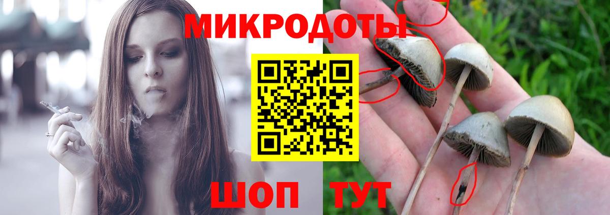 Псилоцибиновые грибы прущие грибы Красный Сулин